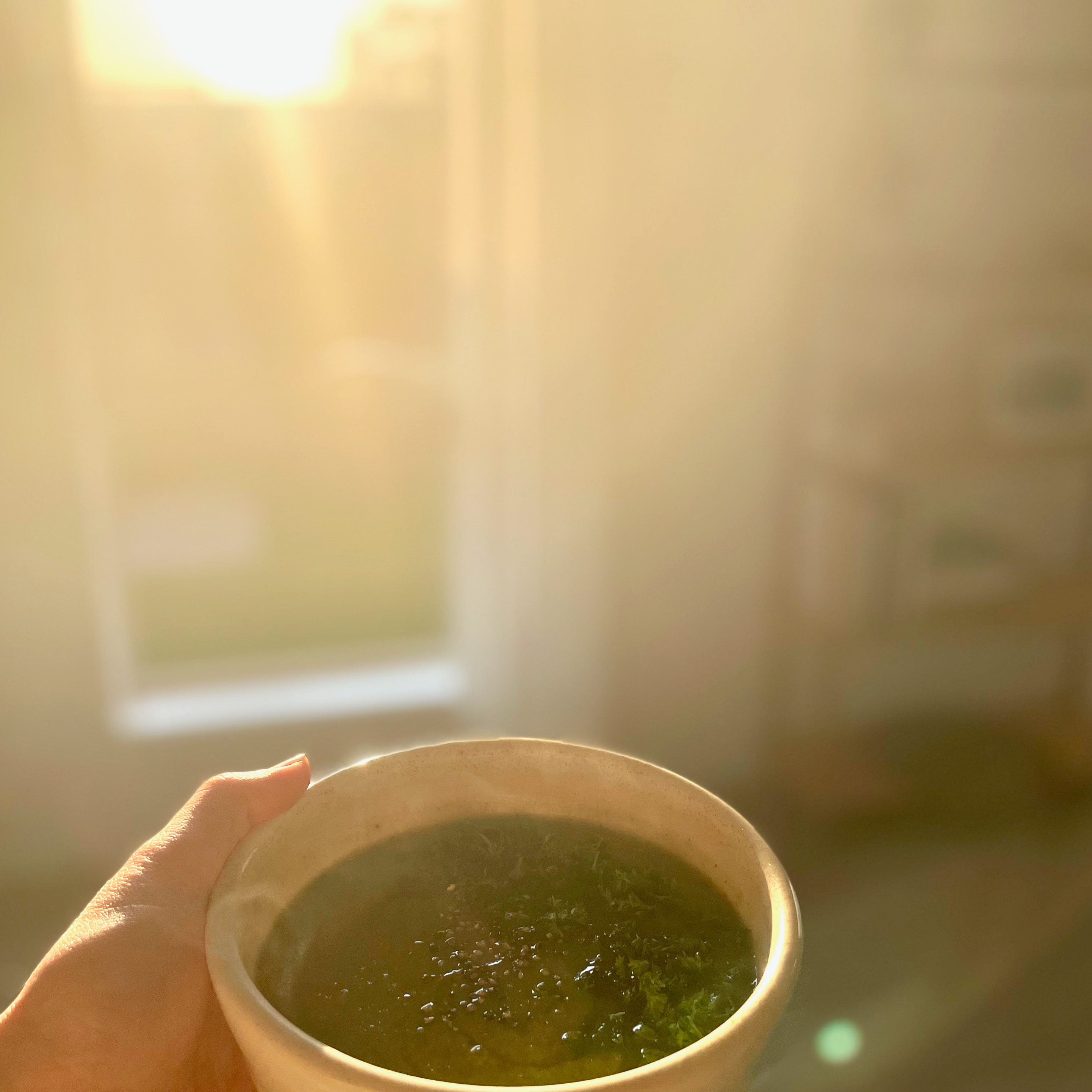 postpartum soup