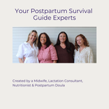 Beyond Birth: Your Postpartum Survival Guide - $29