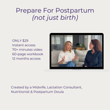 Beyond Birth: Your Postpartum Survival Guide - $29